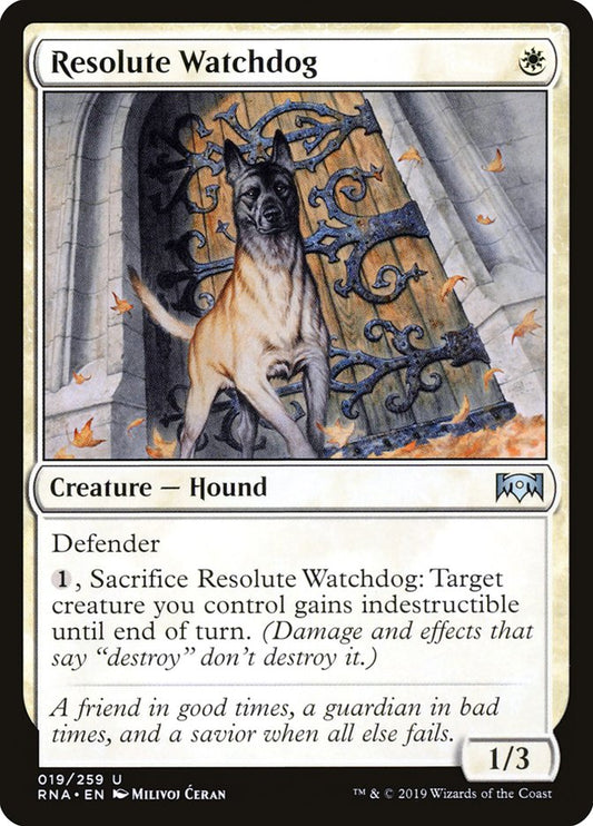 Resolute Watchdog front