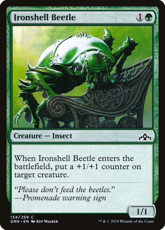 Ironshell Beetle front