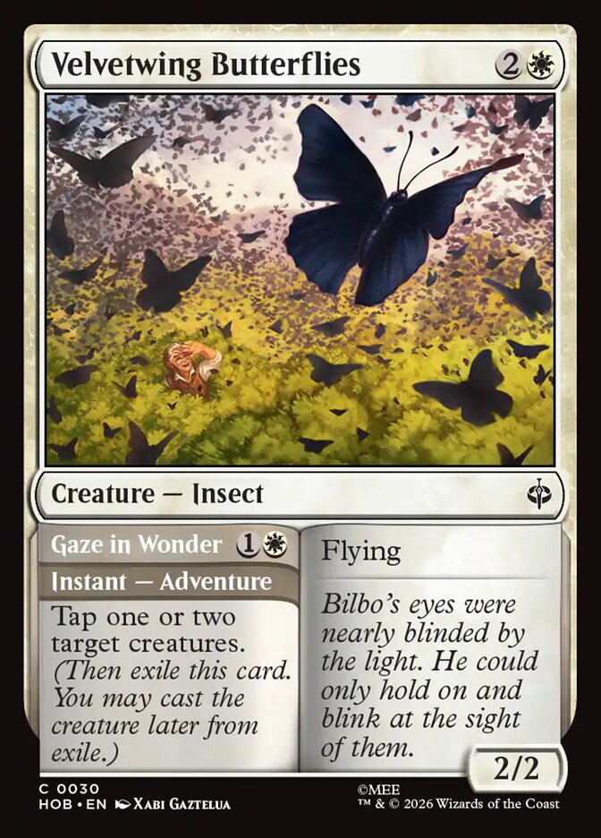Velvetwing Butterflies // Gaze in Wonder back