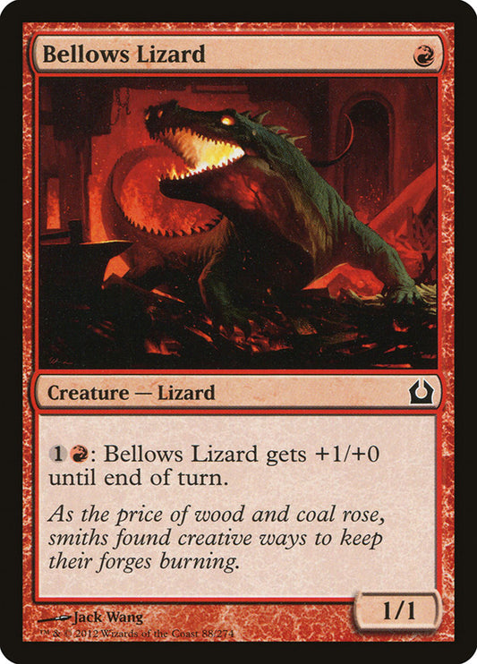 Bellows Lizard front
