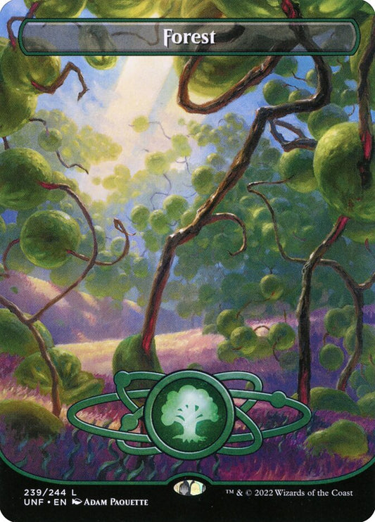 Forest front