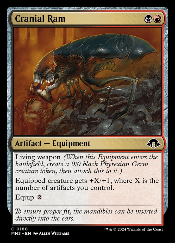 Cranial Ram front
