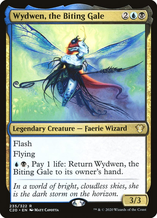 Wydwen, the Biting Gale front