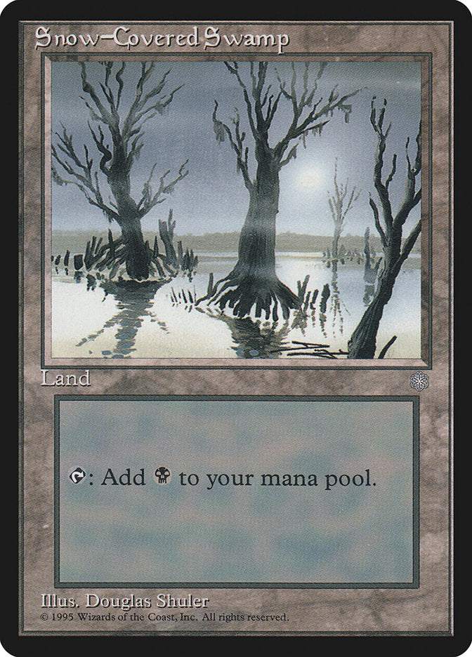Snow-Covered Swamp front
