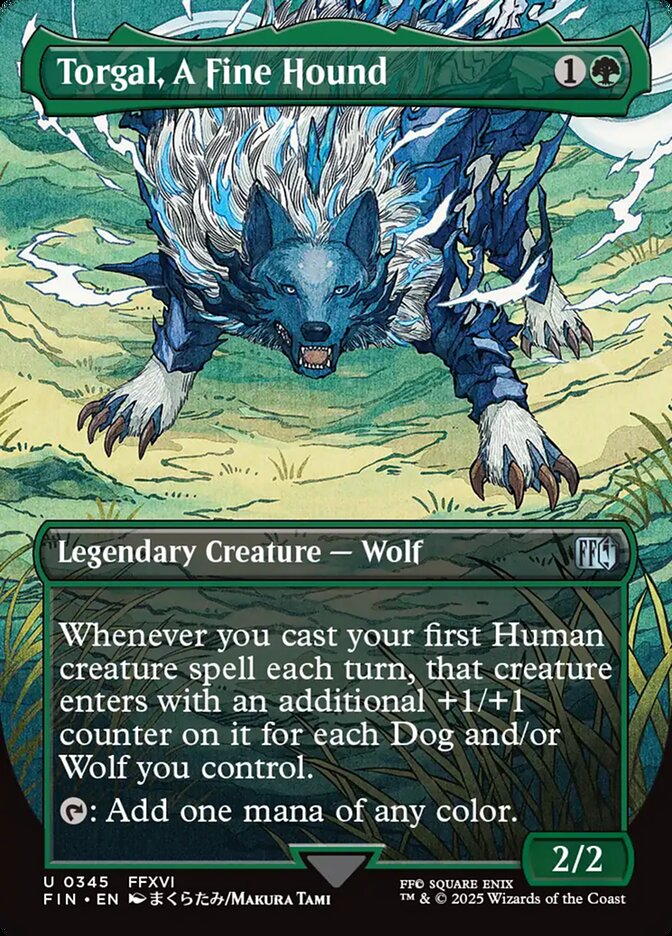 Torgal, A Fine Hound front