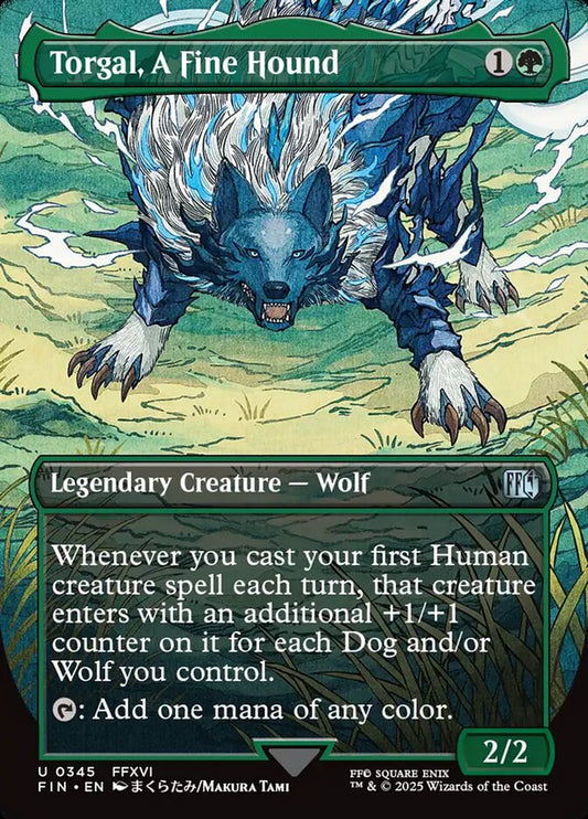 Torgal, A Fine Hound front