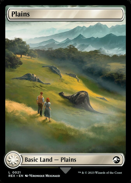 Plains // Plains back