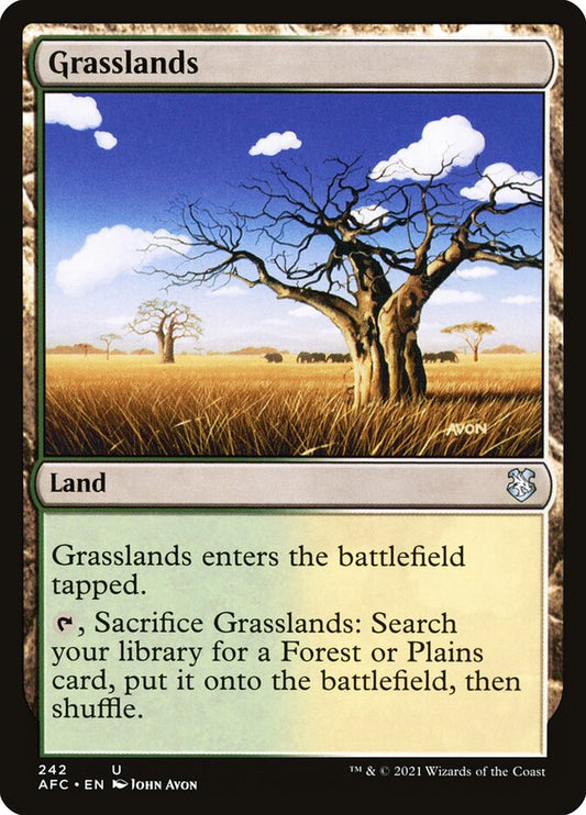 Grasslands front