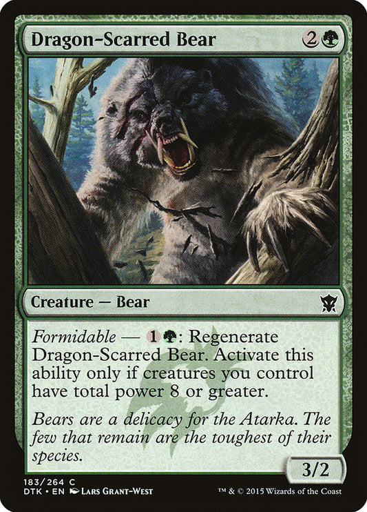 Dragon-Scarred Bear front