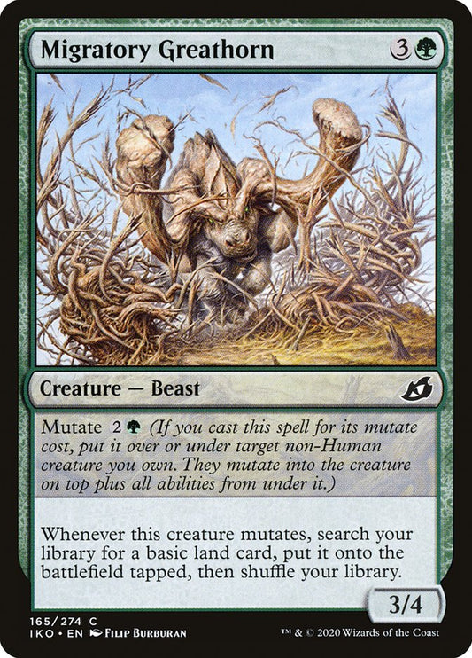 Migratory Greathorn front