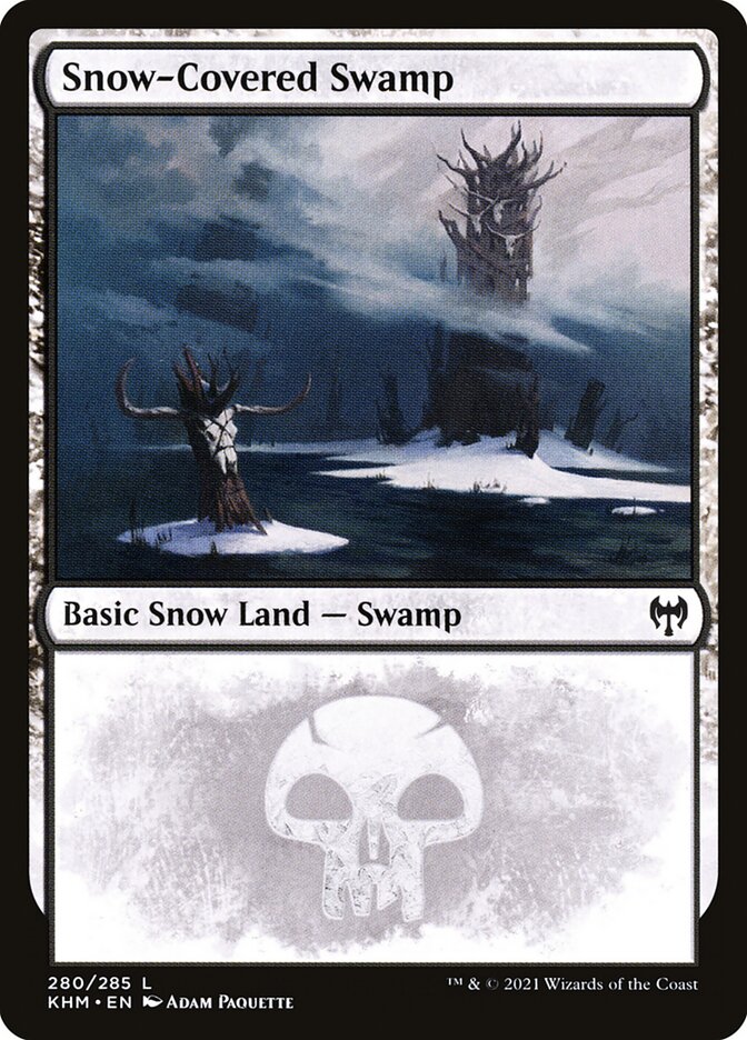 Snow-Covered Swamp front