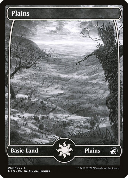 Plains front