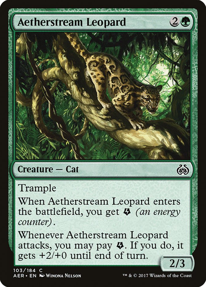 Aetherstream Leopard front