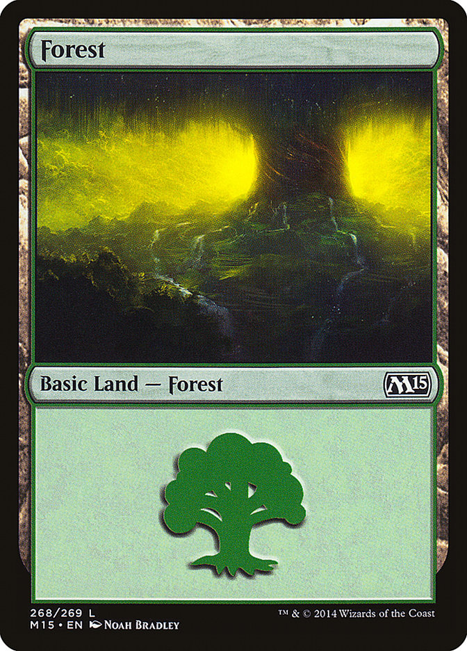 Forest front