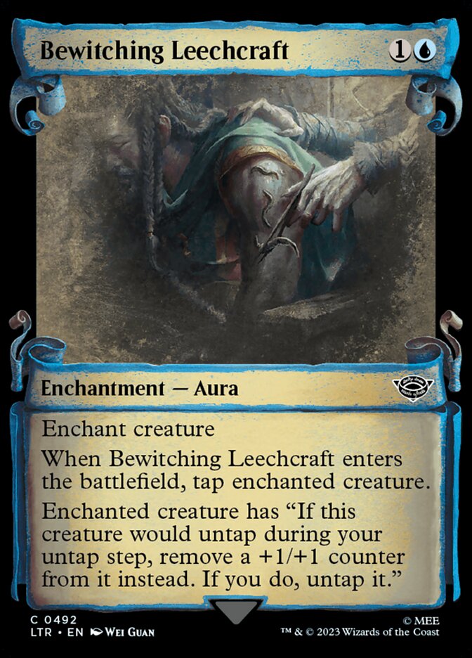 Bewitching Leechcraft front