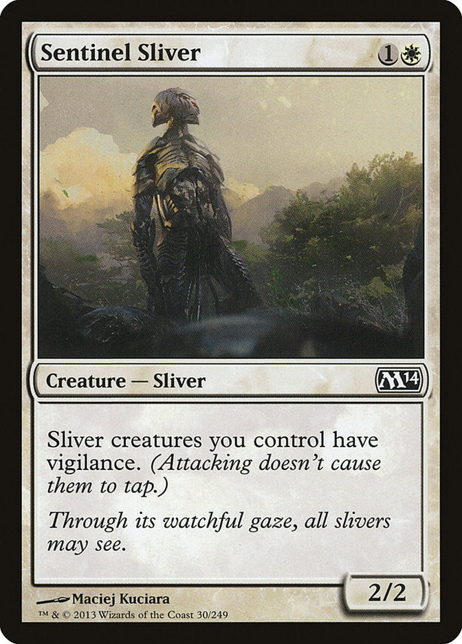 Sentinel Sliver front