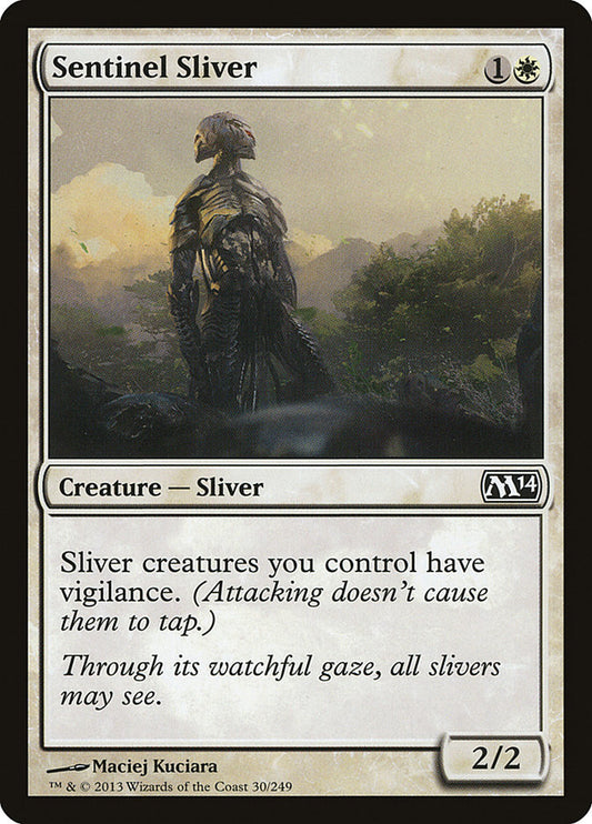 Sentinel Sliver front