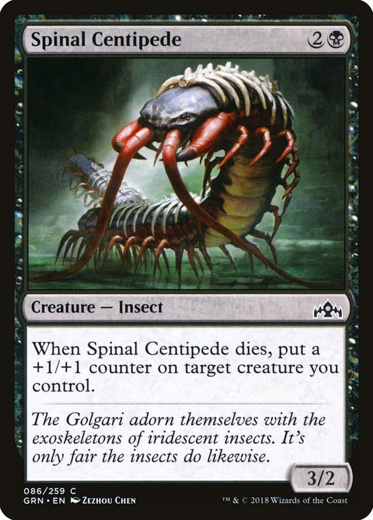 Spinal Centipede front
