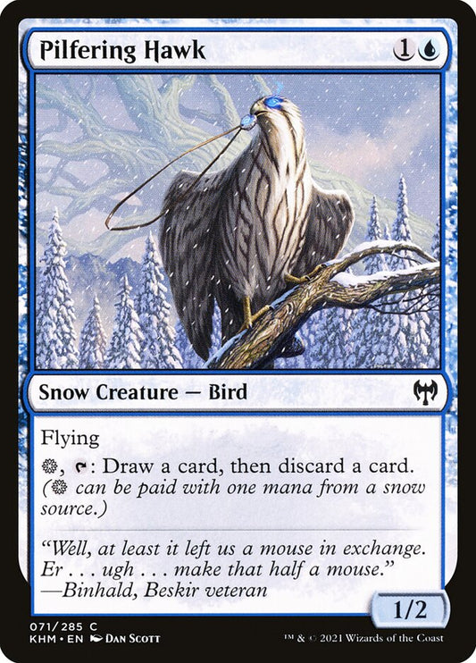 Pilfering Hawk front
