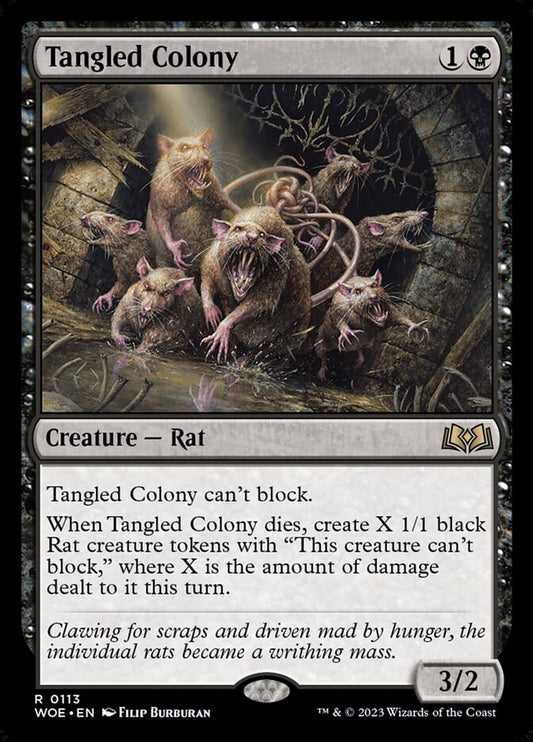 Tangled Colony front