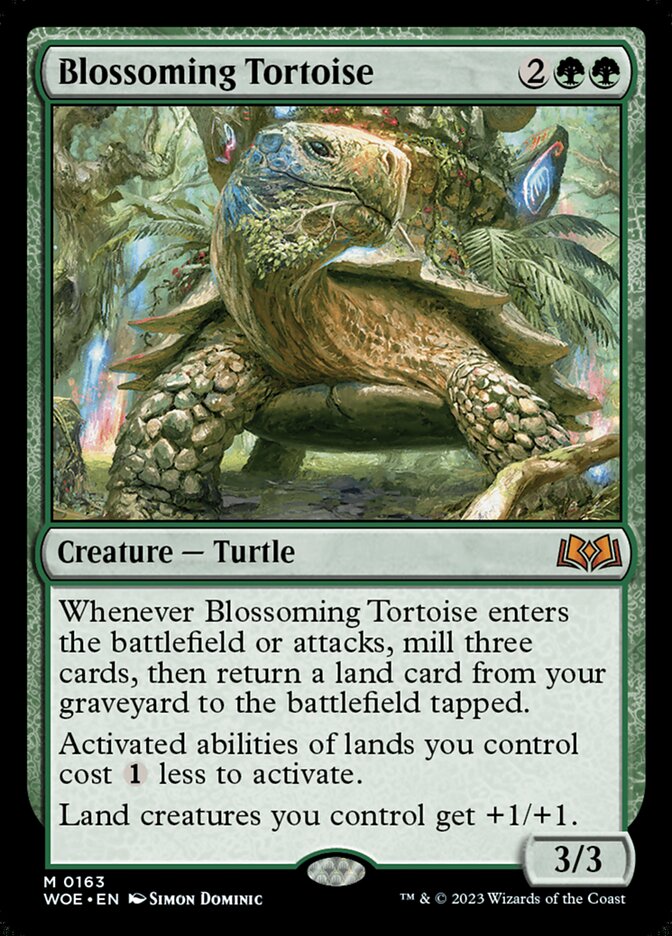 Blossoming Tortoise front
