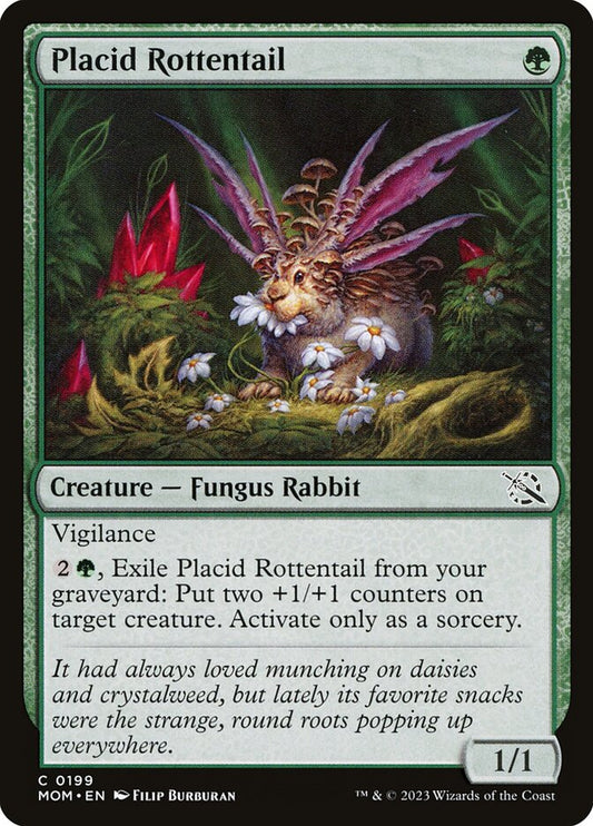 Placid Rottentail front