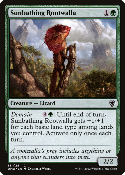 Sunbathing Rootwalla front