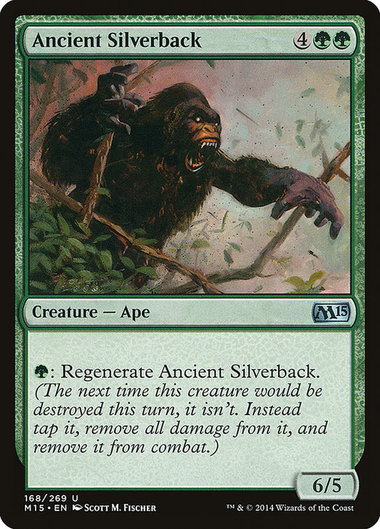 Ancient Silverback front