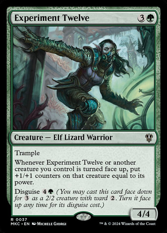 Experiment Twelve front