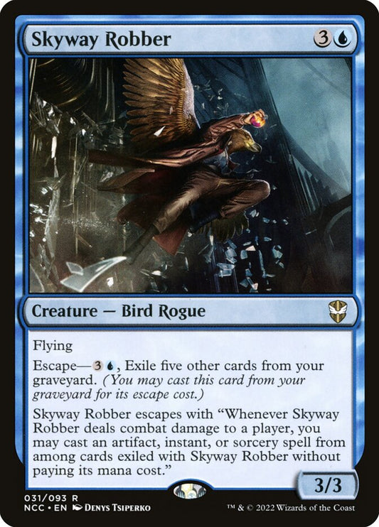 Skyway Robber front