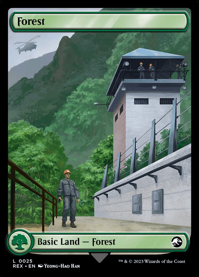 Forest // Forest front