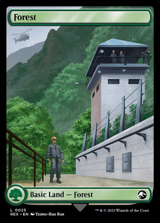 Forest // Forest front