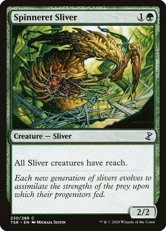 Spinneret Sliver front