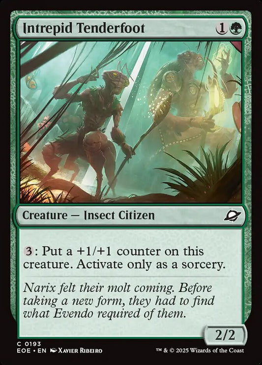 Intrepid Tenderfoot front
