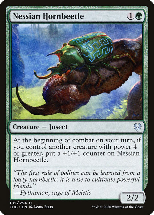 Nessian Hornbeetle front