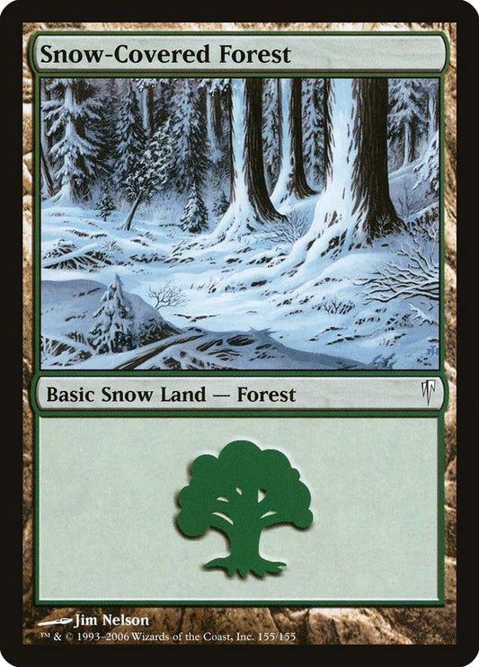 Snow-Covered Forest front
