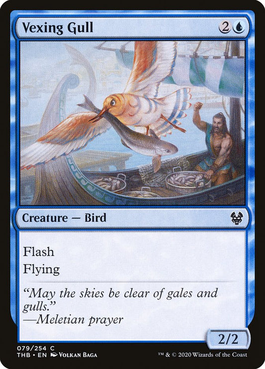 Vexing Gull front