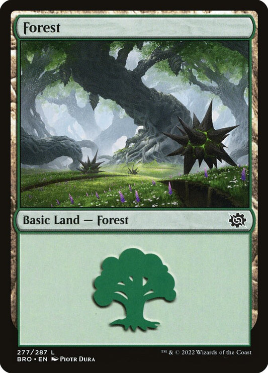 Forest front