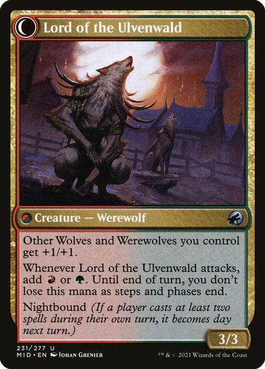 Kessig Naturalist // Lord of the Ulvenwald back