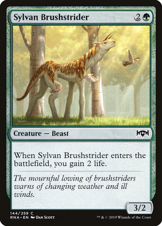 Sylvan Brushstrider front