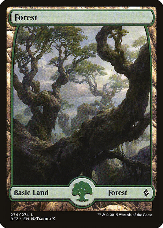 Forest front