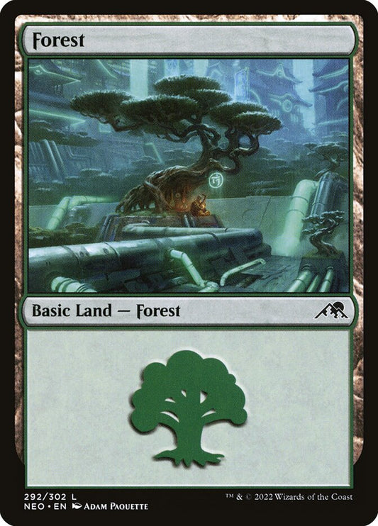 Forest front