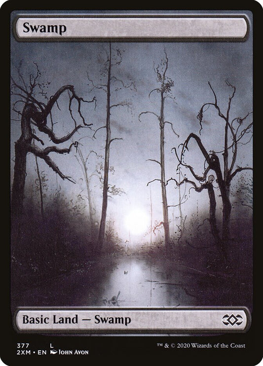 Swamp front