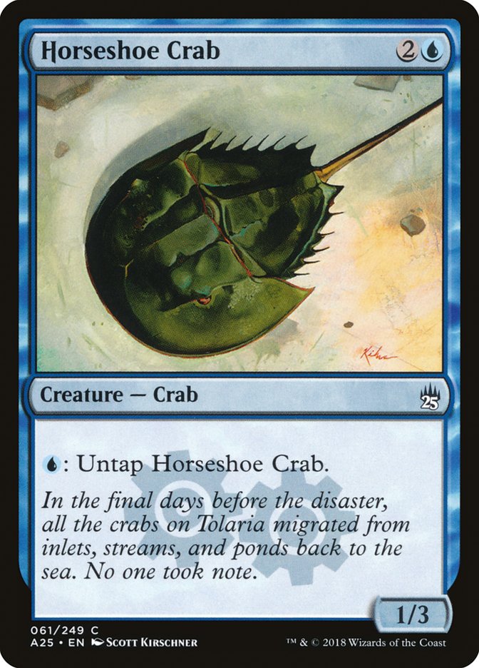 Horseshoe Crab front