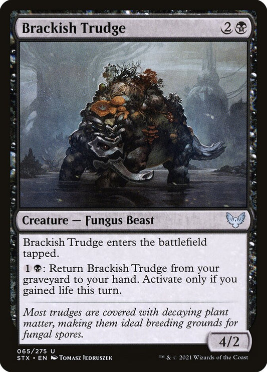 Brackish Trudge front