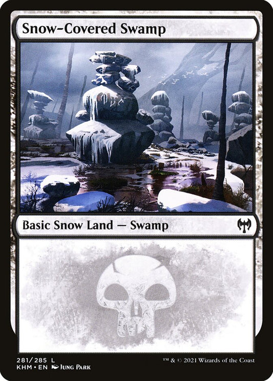 Snow-Covered Swamp front