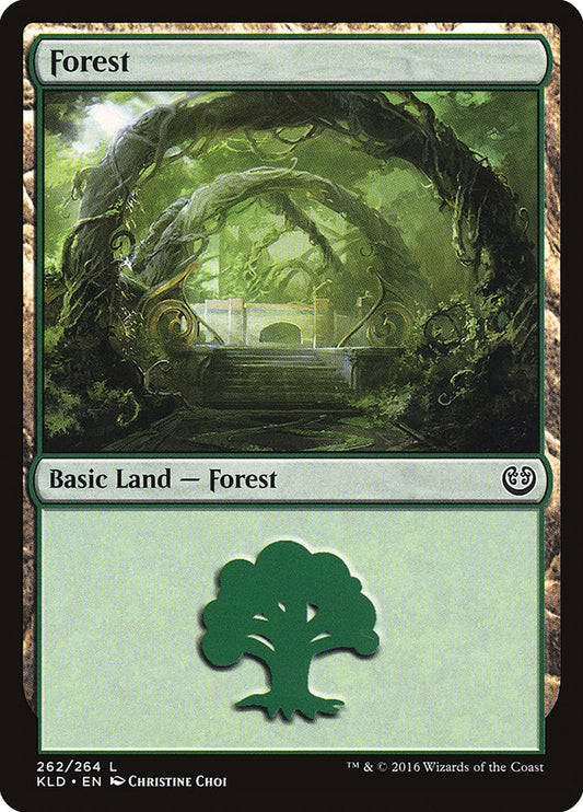 Forest front