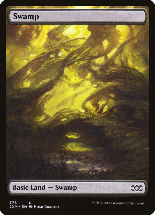 Swamp front