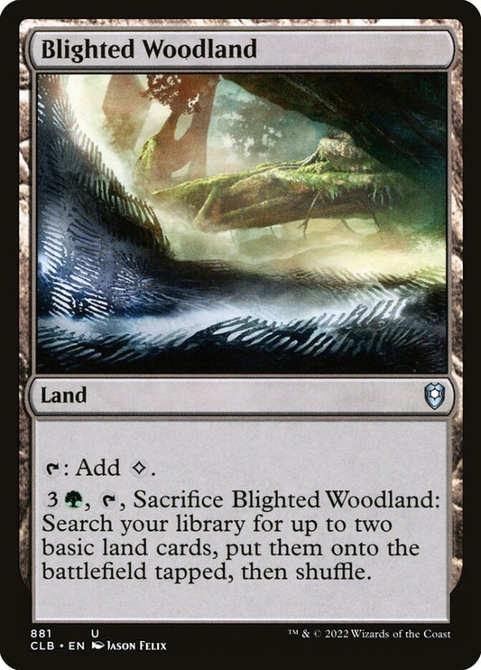 Blighted Woodland front