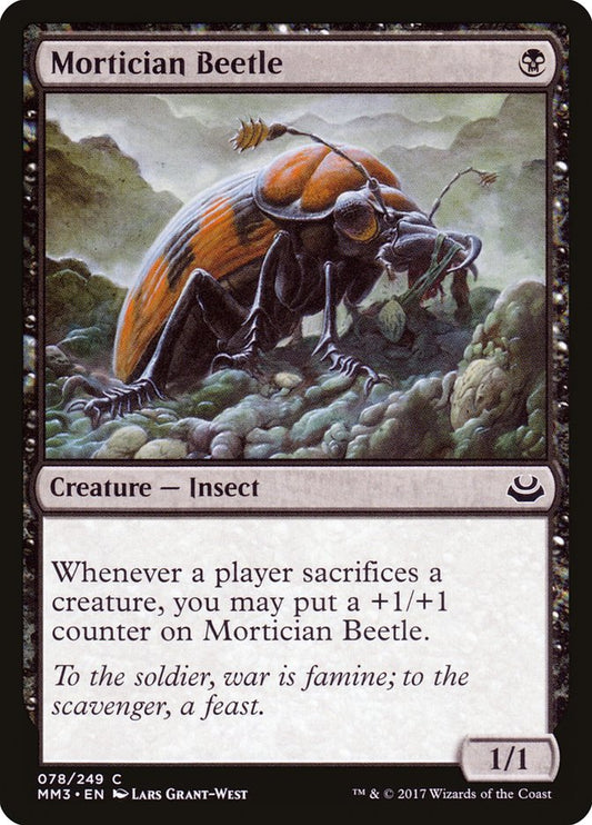 Mortician Beetle front